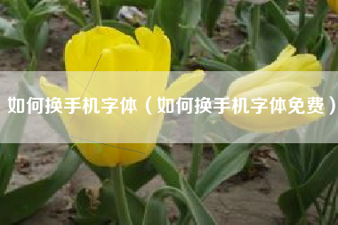如何换手机字体（如何换手机字体免费）