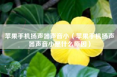 苹果手机扬声器声音小（苹果手机扬声器声音小是什么原因）