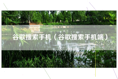 谷歌搜索手机（谷歌搜索手机端）