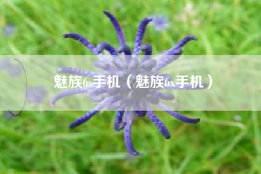 魅族6s手机（魅族6x手机）
