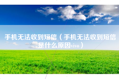 手机无法收到短信（手机无法收到短信是什么原因vivo）