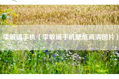 李敏镐手机（李敏镐手机壁纸高清图片）