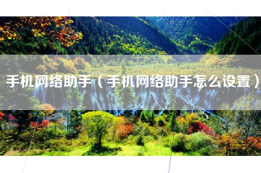 手机网络助手（手机网络助手怎么设置）