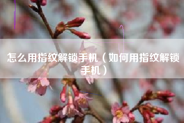 怎么用指纹解锁手机（如何用指纹解锁手机）