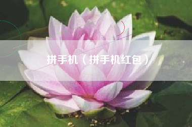拼手机（拼手机红包）