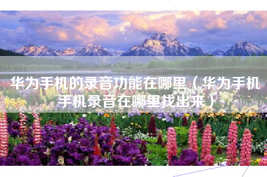 华为手机的录音功能在哪里（华为手机手机录音在哪里找出来）