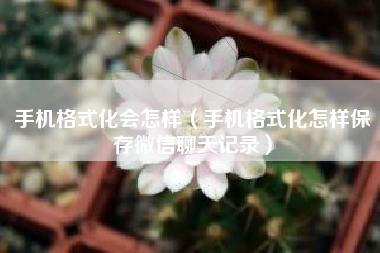 手机格式化会怎样（手机格式化怎样保存微信聊天记录）
