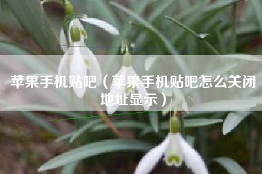 苹果手机贴吧（苹果手机贴吧怎么关闭地址显示）