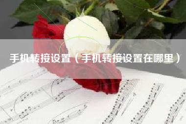 手机转接设置（手机转接设置在哪里）