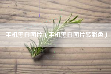 手机黑白图片（手机黑白图片转彩色）
