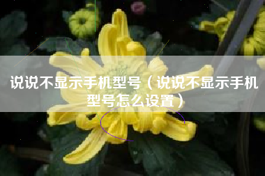 说说不显示手机型号（说说不显示手机型号怎么设置）