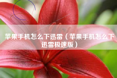 苹果手机怎么下迅雷（苹果手机怎么下迅雷极速版）