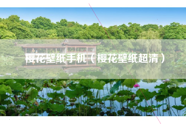 樱花壁纸手机（樱花壁纸超清）