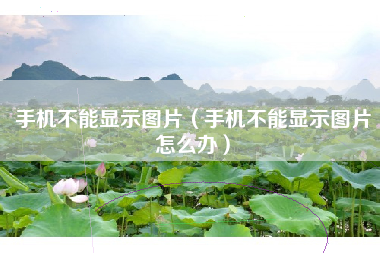 手机不能显示图片（手机不能显示图片怎么办）