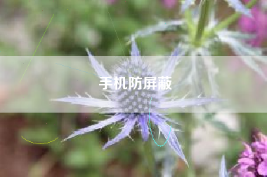 手机防屏蔽