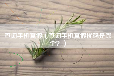查询手机真假（查询手机真假扰码是哪个？）