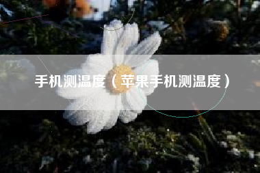 手机测温度（苹果手机测温度）