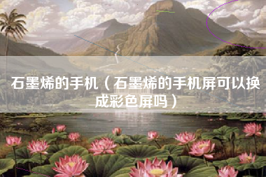 石墨烯的手机（石墨烯的手机屏可以换成彩色屏吗）