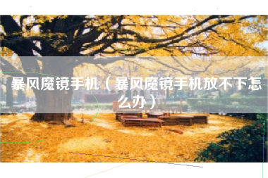 暴风魔镜手机（暴风魔镜手机放不下怎么办）