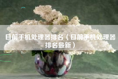 目前手机处理器排名（目前手机处理器排名最新）