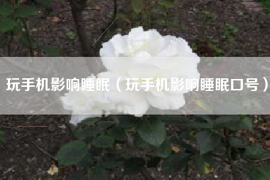 玩手机影响睡眠（玩手机影响睡眠口号）