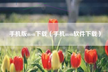 手机版msn下载（手机msn软件下载）