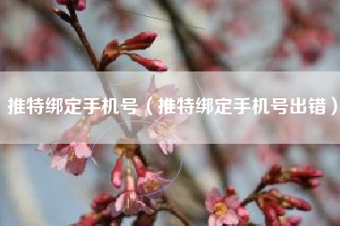 推特绑定手机号（推特绑定手机号出错）