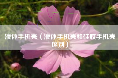 液体手机壳（液体手机壳和硅胶手机壳区别）