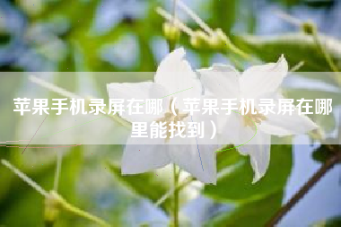 苹果手机录屏在哪（苹果手机录屏在哪里能找到）