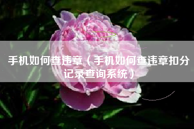 手机如何查违章（手机如何查违章扣分记录查询系统）