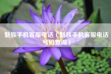 魅族手机客服电话（魅族手机客服电话号码查询）
