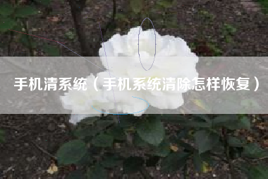 手机清系统（手机系统清除怎样恢复）