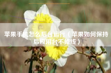 苹果手机怎么后台运行（苹果如何保持后应用台不掉线）