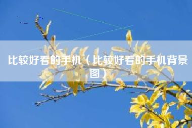 比较好看的手机（比较好看的手机背景图）