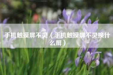手机触摸屏不灵（手机触摸屏不灵换什么屏）