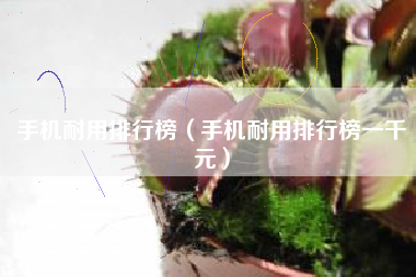 手机耐用排行榜（手机耐用排行榜一千元）