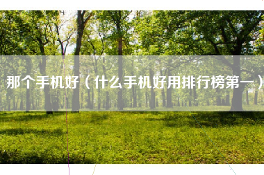 那个手机好（什么手机好用排行榜第一）
