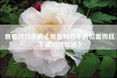 查看对方手机（查看对方手机位置而且不被对方知道）