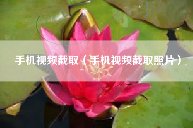 手机视频截取（手机视频截取照片）