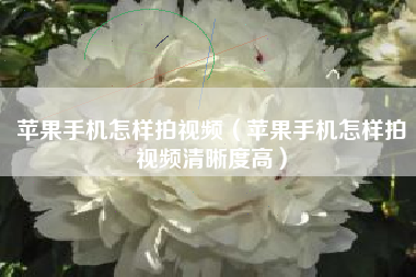 苹果手机怎样拍视频（苹果手机怎样拍视频清晰度高）