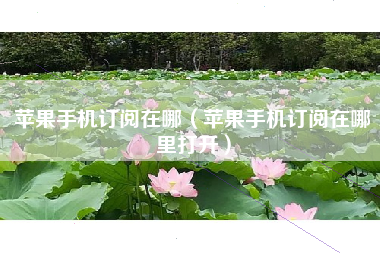 苹果手机订阅在哪（苹果手机订阅在哪里打开）