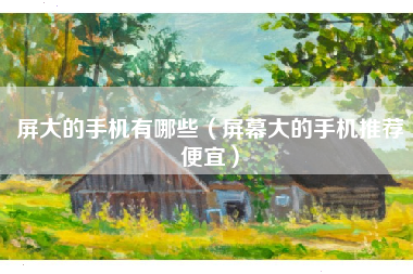 屏大的手机有哪些（屏幕大的手机推荐便宜）