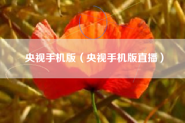 央视手机版（央视手机版直播）