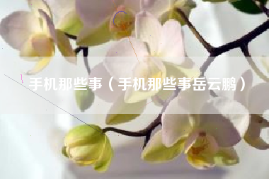手机那些事（手机那些事岳云鹏）