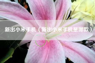 新出小米手机（新出小米手机是哪款）