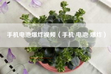 手机电池爆炸视频（手机 电池 爆炸）