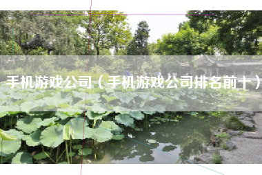手机游戏公司（手机游戏公司排名前十）