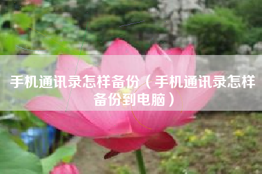 手机通讯录怎样备份（手机通讯录怎样备份到电脑）