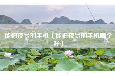 能拍夜景的手机（能拍夜景的手机哪个好）