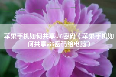 苹果手机如何共享wifi密码（苹果手机如何共享wifi密码给电脑）